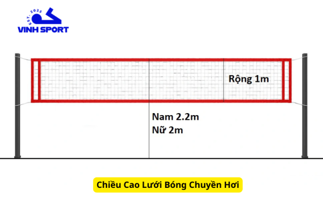Chiều Cao Lưới Bóng Chuyền Hơi