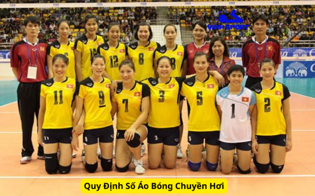 Quy Định Số Áo Bóng Chuyền Hơi