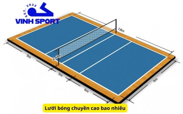 Lưới bóng chuyền cao bao nhiêu