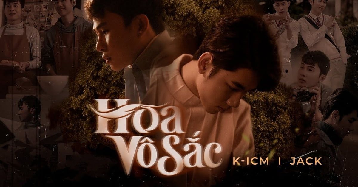 hoa-vo-sac